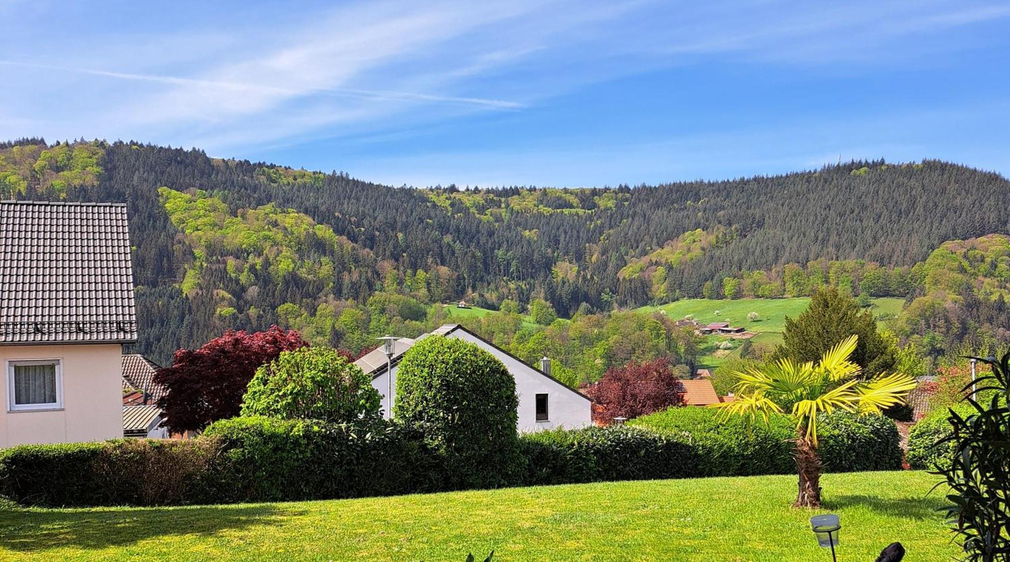 Seelenbaumler Seelbach  Buitenkant foto